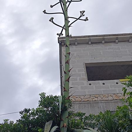 Apartmarin Trogir Exteriér fotografie