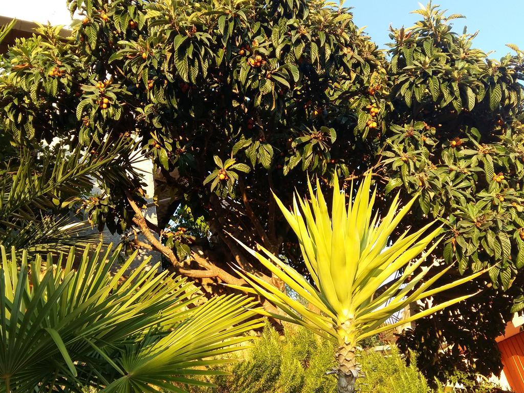 Apartmarin Trogir Exteriér fotografie